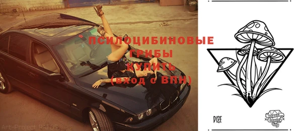 мяу мяу мука Михайлов