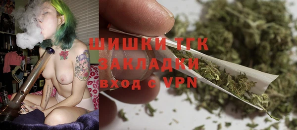 тгк Аша