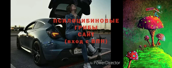мяу мяу мука Михайлов