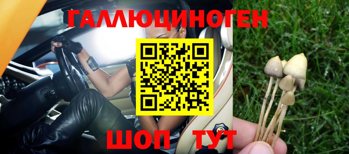 Благодарный  Псилоцибиновые грибы Psilocybe  Вход с VPN 