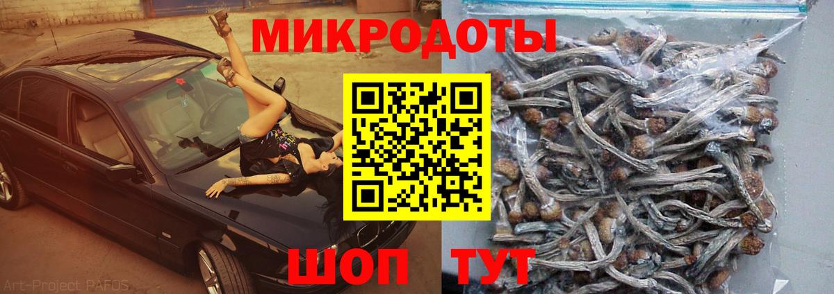 COCAIN Благодарный