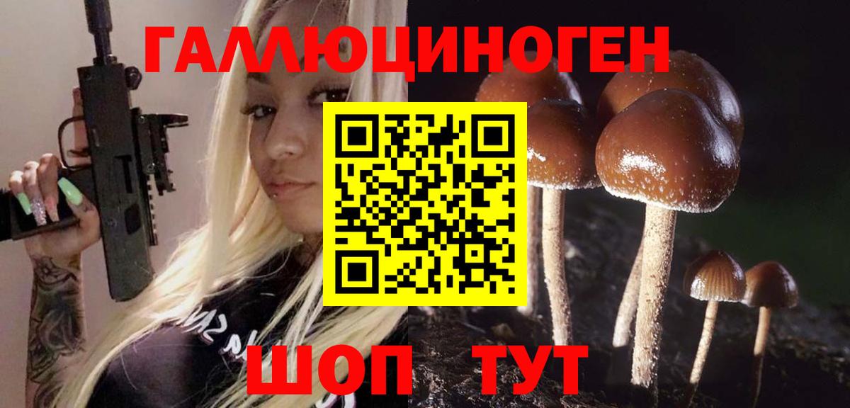 Галлюциногенные грибы Cubensis  Благодарный 